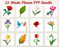 12 Flower Foundation Paper Piecing Pattern Bundle | PDF Quilt Patterns